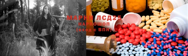 ПСИЛОЦИБИНОВЫЕ ГРИБЫ Нефтекумск