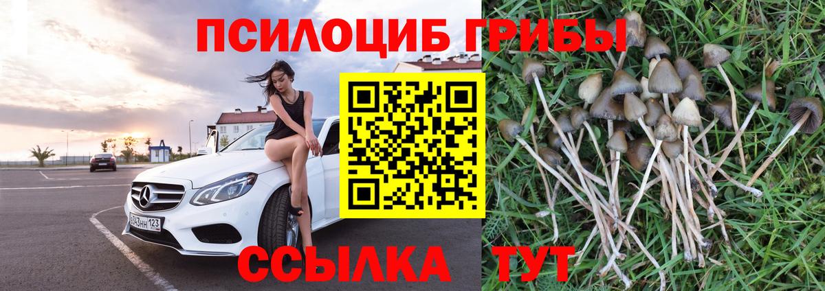 наркота  Псилоцибиновые грибы ЛСД  Вход с VPN  Новосибирск 
