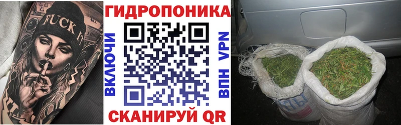 площадка клад  Новосибирск  Шишки марихуана LSD WEED 