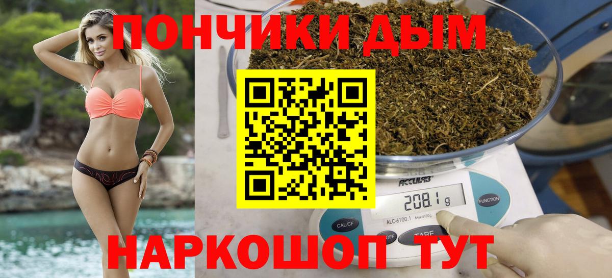 Каннабис план  Вход с VPN  МАРИХУАНА Amnesia  Новосибирск 